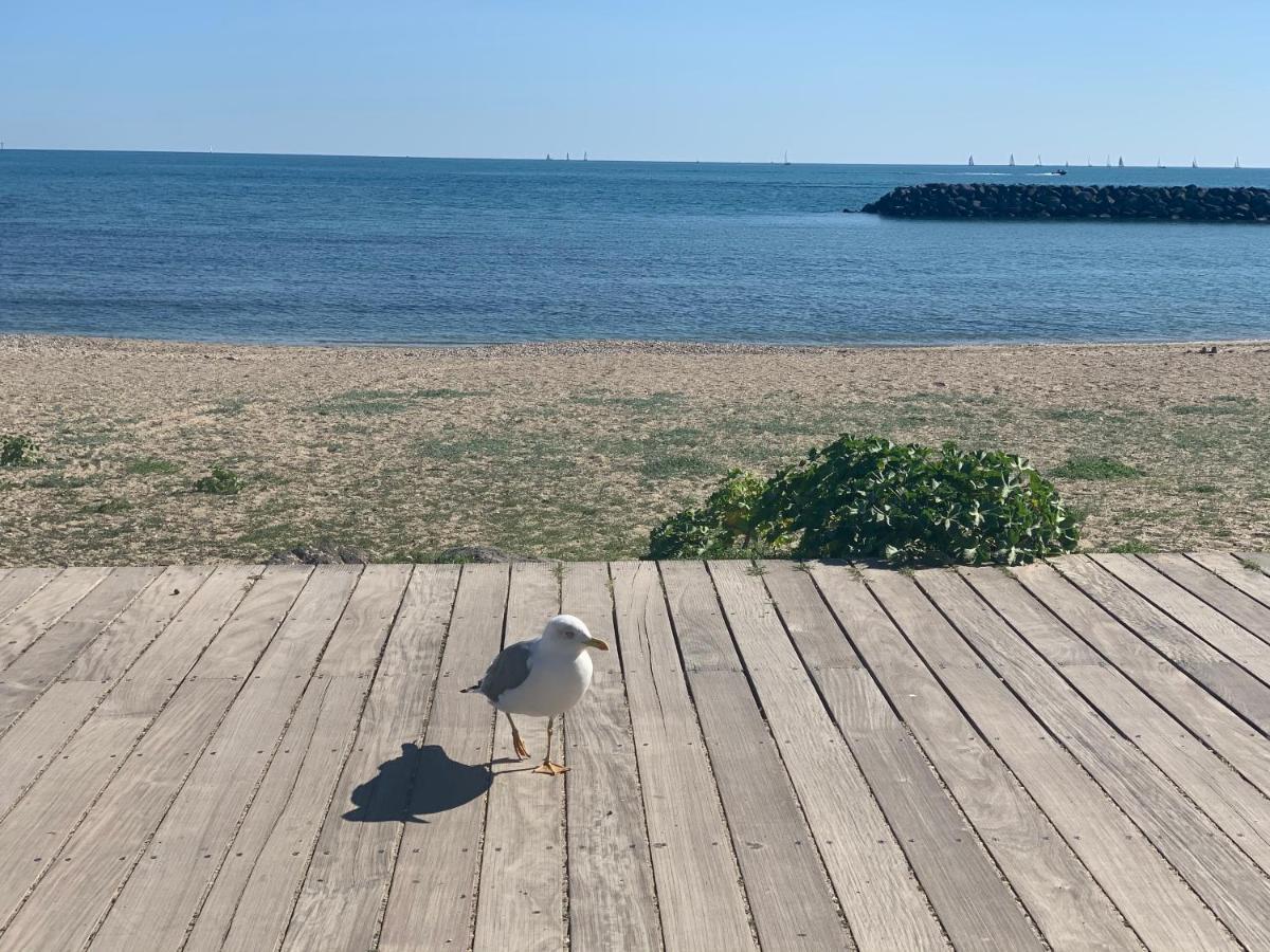 Studio Face A La Mer 4 Couchages - Gratuits Piscine Tennis Et Un Parking Prive Rare Et Tres Utile - Vue Magnifique Sur La Mer - Agreable En Toutes Saisons Ile Des Pecheurs - La Brigantine - Emplacement Et Vue Rares Au Cap D'Агд Экстерьер фото